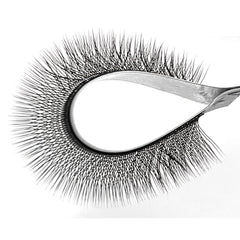 Matte 3D W Individual Lashes for Eyelash Extensions