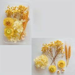 Eternal Flower DIY Group Set - Home Decoration Kit