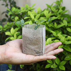 100pcs Biodegradable Grow Bags for Plants Non Woven Nursery Bags