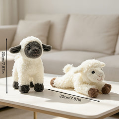 img_5457404