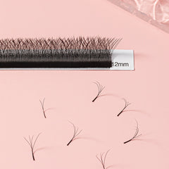 4D Cluster Lashes Mixed 9 15mm False Eyelashes Natural Look