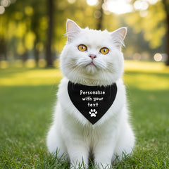 img_5207510