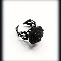 img_5597783
