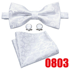Barry Wang Men's Burgundy Red Paisley Bow Tie Set