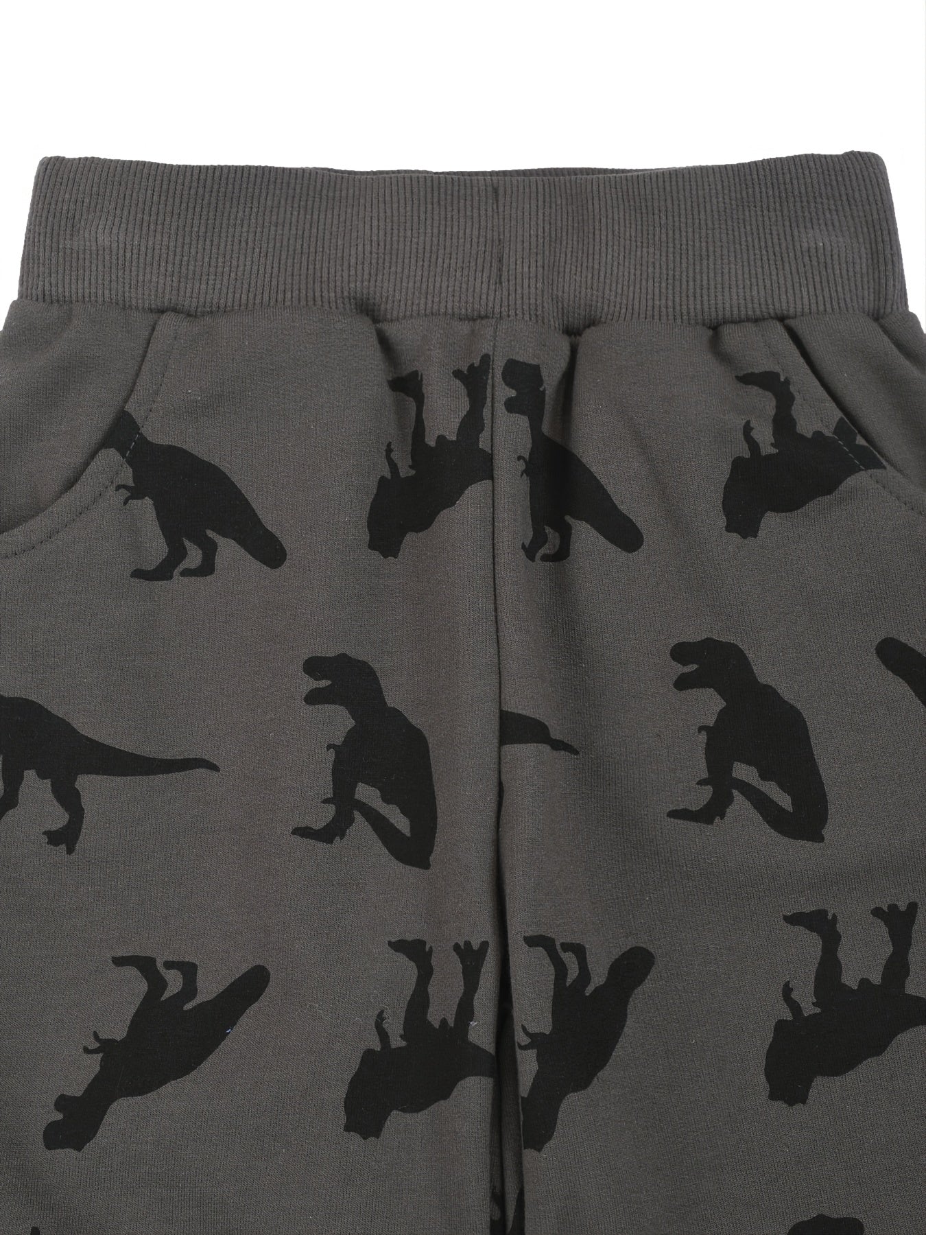 Boys Dinosaur Print Elastic Waist Casual Loose Pockets Shorts