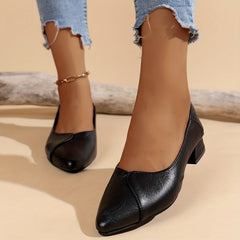 Women's Chunky Heel Point Toe Slip On Shoes