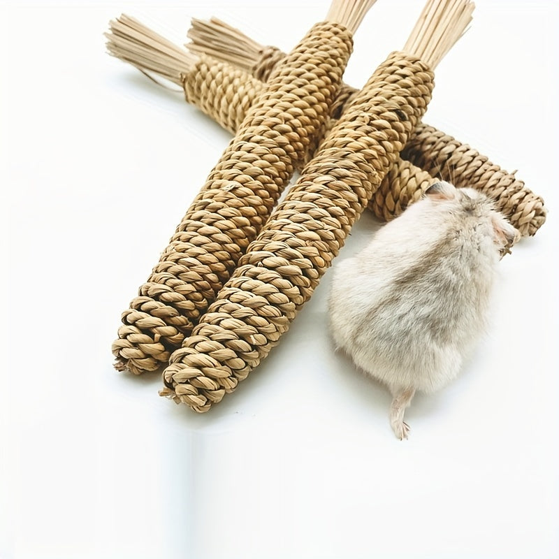 Chew Toys for Small Pets Water Grass Radish