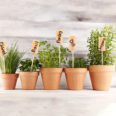 5 Packs Small Fresh Wood Decorative Red Wine Plug Handwritten Plant Label