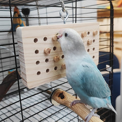 Wooden Bird Training Toy Building Block Puzzle Toy Parrot Gnawing Grinding Toy