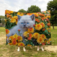 Cat Blanket Soft Lightweight Comfortable Blanket For Couch Bed Travel