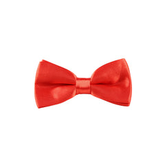 Kid's Multicolor Bow Tie Wedding Accessories