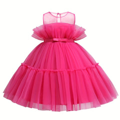 Toddler Girls Princess Dress with Hot Mesh Girls Holiday Dress