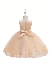 Girls Sleeveless Puffy Princess Dress Flowers Embroidered Tulle Tutu Dress