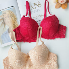 2pcs Lace Push Up Bra Comfy & Breathable Women's Lingerie