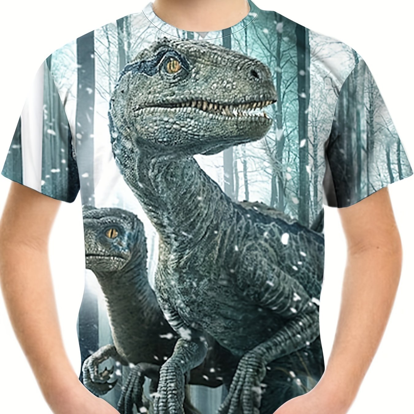 Boy's Dino & Snow T-shirt Stretch 3D Print Tee for Outdoor