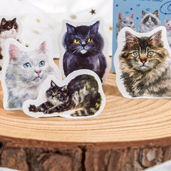 46 Cat Pattern Stickers Water Bottles Laptop Scrapbook Luggage