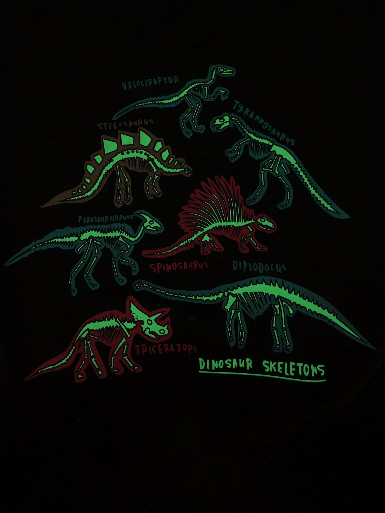 Dino Reflective Skeleton Sweatshirt & Sweatpants Set