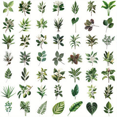 50pcs Botanical Plant & Flower Waterproof Stickers for Water Bottles Laptops