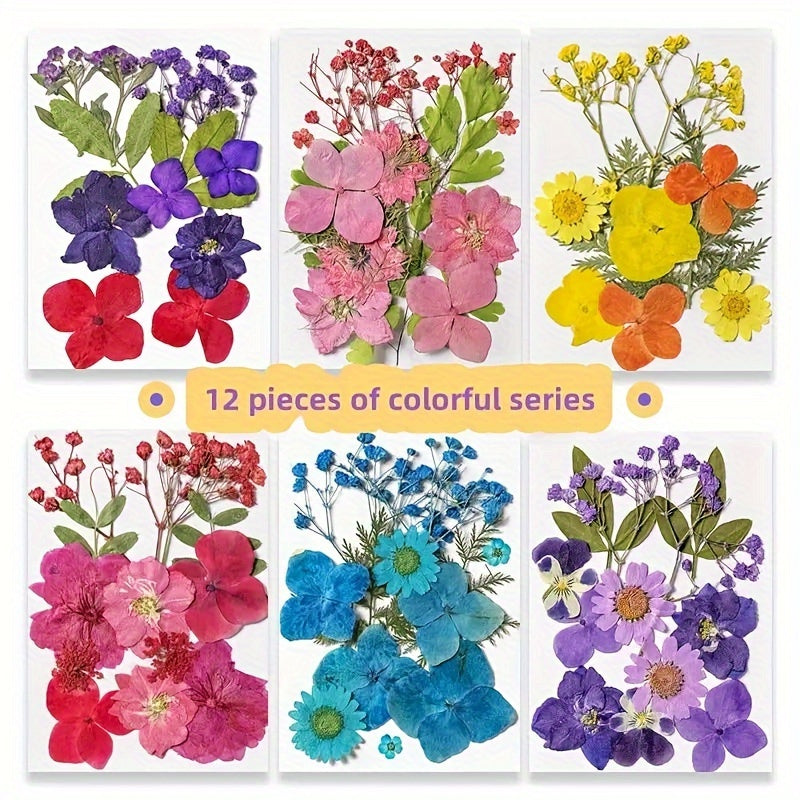 12pcs Resin Fillers Dry Flowers Natural Plant Embossed Dry Flowers Collection