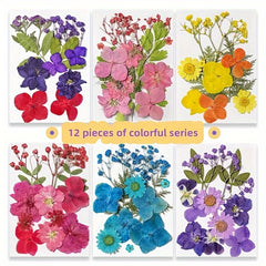 12pcs Resin Fillers Dry Flowers Natural Plant Embossed Dry Flowers Collection