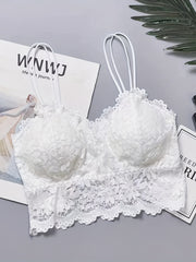 3pcs Floral Lace Cami Tops V Neck Scallop Trim Top Women's Lingerie