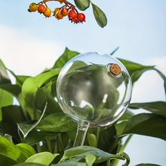 Large Capacity Glass Ball Plant Automatic Dripper Home Garden Watering Device