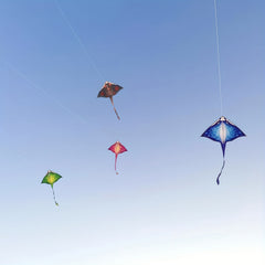Creative Devil Fish Kite with Kite Handle