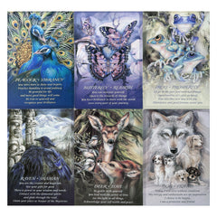 Large Oracle Cards with Learning Guide - Fortune Telling Game