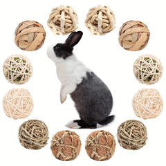 Interactive Rolling Chew Toys for Small Animals