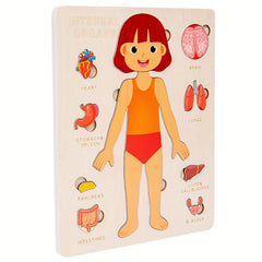 Wooden Human Body Puzzle Toy Educational Gift for Kids
