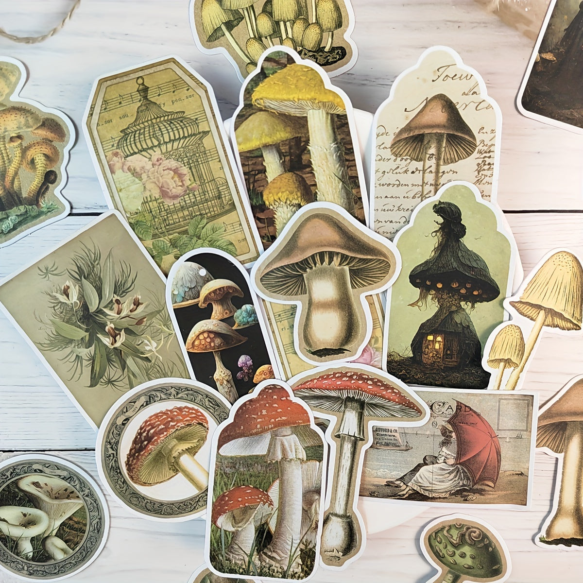 Vintage Mushrooms Nature Theme Scrapbook Stickers DIY Crafts
