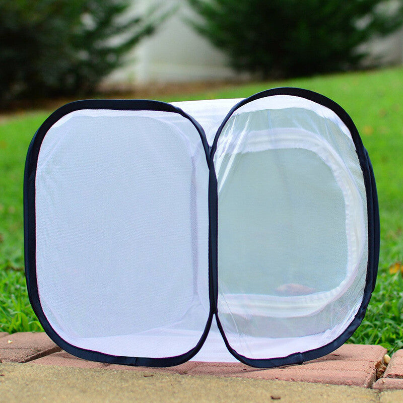 Pop Up Net Insect Cage For Butterflies Moths Stick Insects Caterpillars