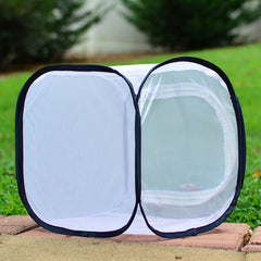 Pop Up Net Insect Cage For Butterflies Moths Stick Insects Caterpillars