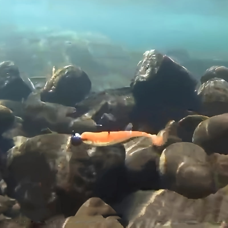 50pcs Paddle Tail Swimbaits Soft Fishing Lures Kit Bass Fishing Bait
