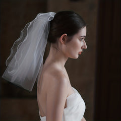 Bowknot Head Veil With Comb Bridal Wedding Head Veil Hair Accessories