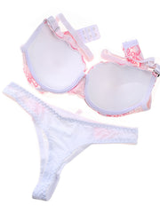 Embroidered Lace Push Up Bra & Panties Set