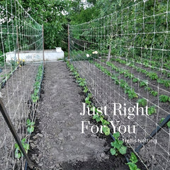 Polyester Pergola for Climbing Plants DIY Net Garden Plant Support
