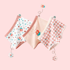 Toddler Girl's Floral Print Cotton Boxer Briefs