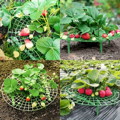 4pcs Strawberry Rack Garden Cultivating Tool