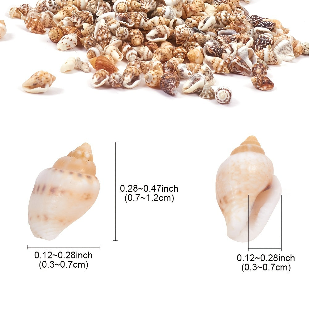 Natural Shell Small Conch Mixed Set Drift Bottle Fish Tank Landscaping
