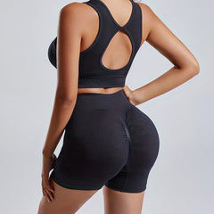 2pc Seamless Yoga Sets Women Crop Top High Waist Butt Lifting Shorts Activewear