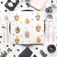 Cat Birthday Party Supplies Plates and Napkins Set
