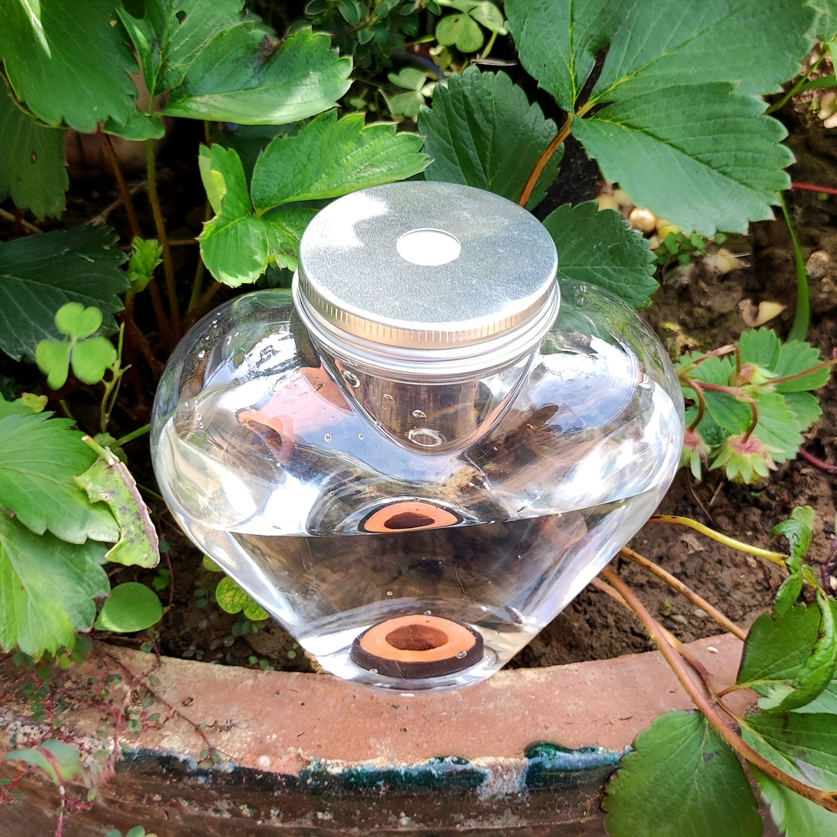 Automatic Drip Watering System for Plants - Lazy Garden Watering Kit