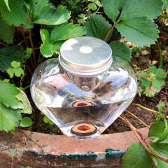 Automatic Drip Watering System for Plants - Lazy Garden Watering Kit