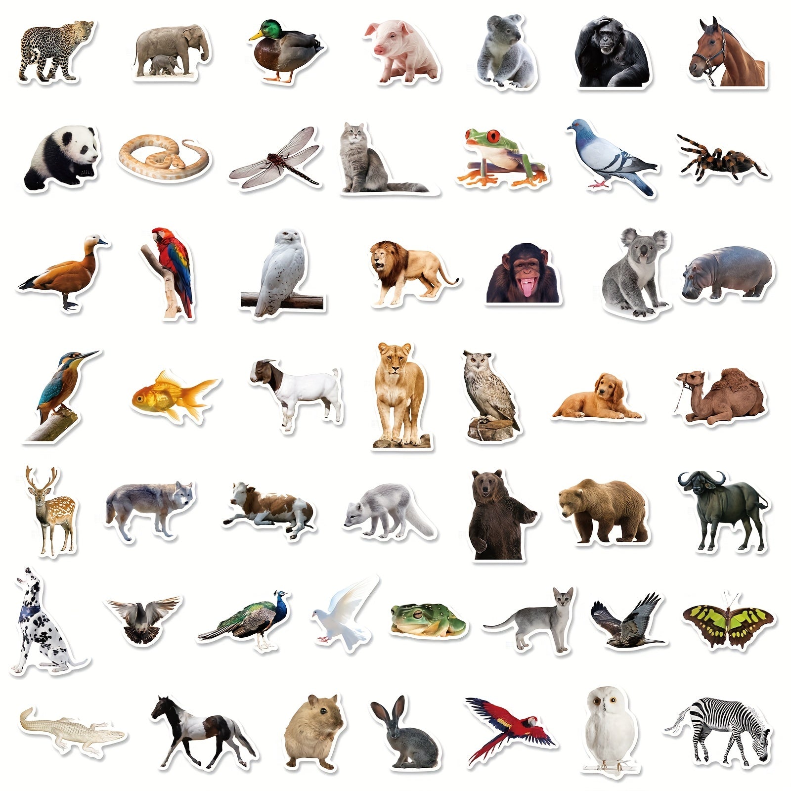 50pcs Farm Zoo Animals Waterproof Vinyl Bulk Stickers For Water Bottles Laptop