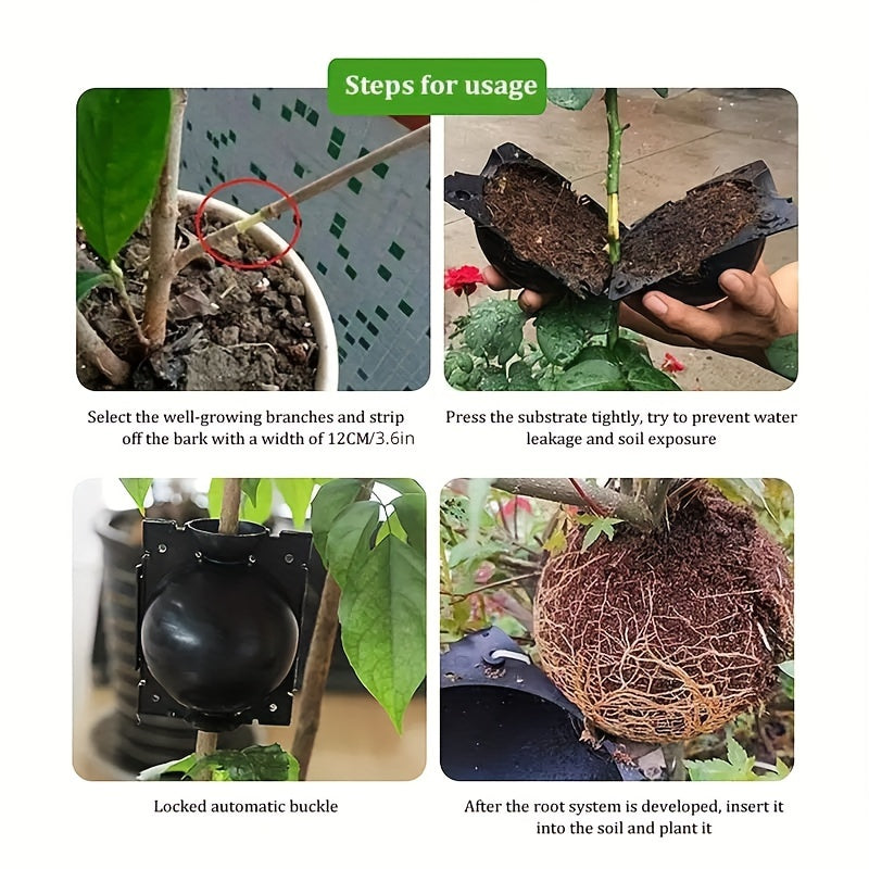 10pcs Plant Rooting Box Grafting Rooting Ball Garden Propagation Breeding