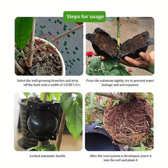 10pcs Plant Rooting Box Grafting Rooting Ball Garden Propagation Breeding