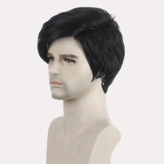 Men's Short Curly Hair Daily Dressing Wig