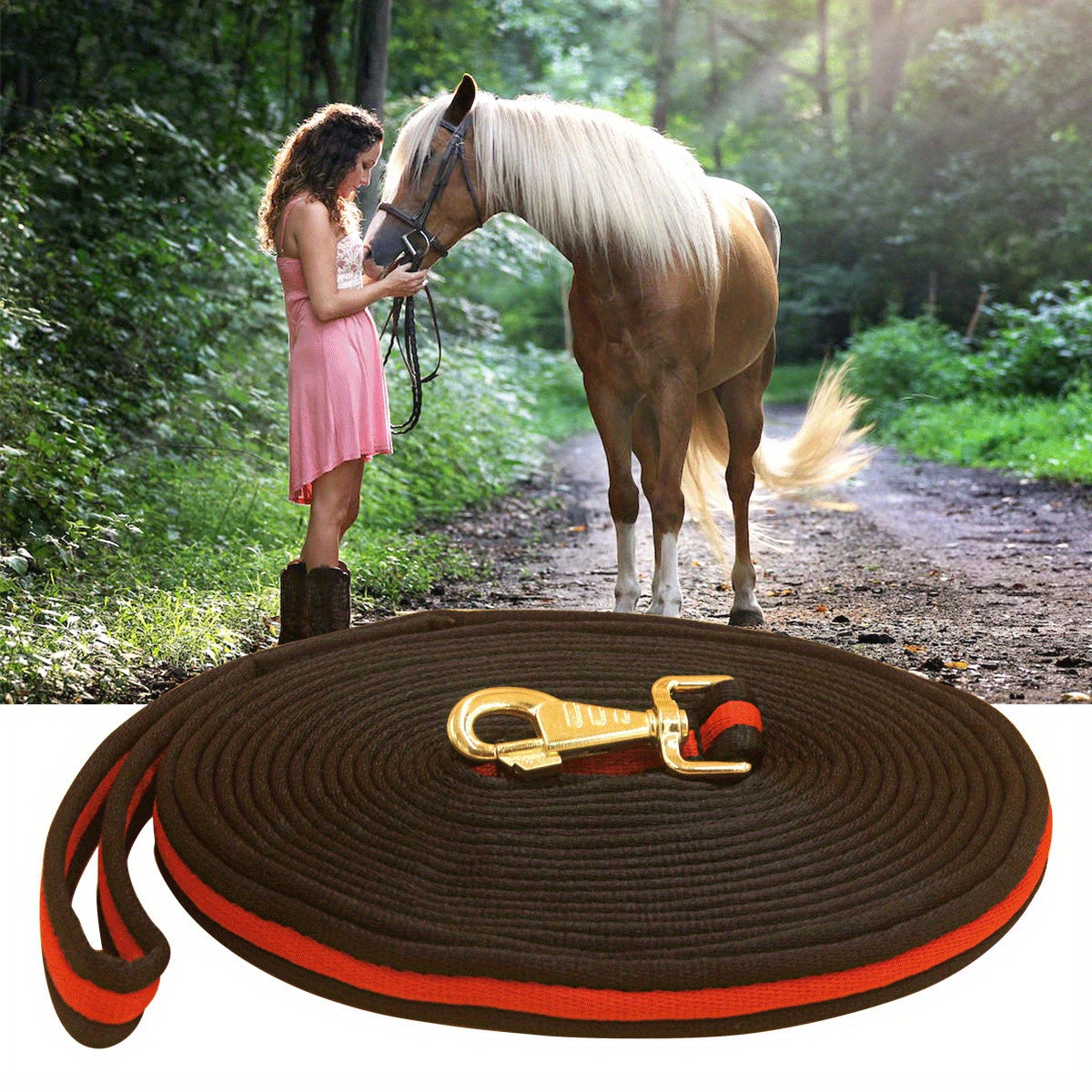 Horse Lunge Line Training & Exercise