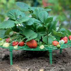 Vegetable Rack Plant Climbing Support for Balcony, Strawberry Planting Rack
